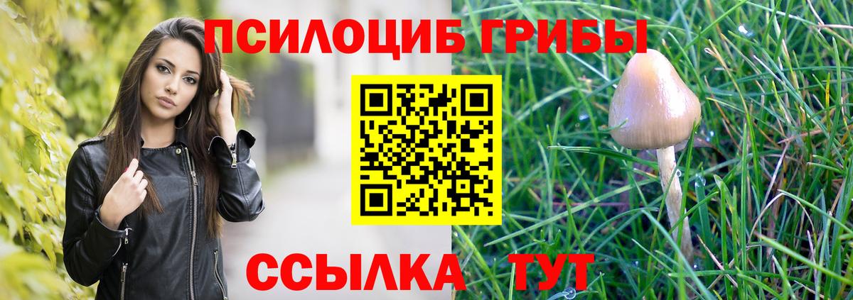 Галлюциногенные грибы Magic Shrooms  Вход с VPN  как найти закладки  Кинель  Галлюциногенные грибы мицелий 