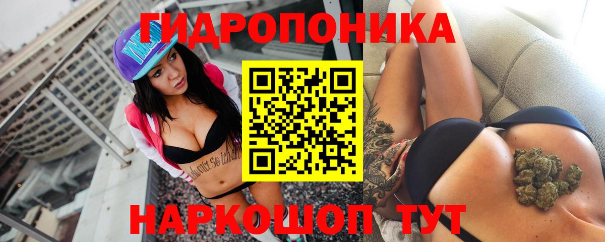 Бошки Шишки конопля Кинель