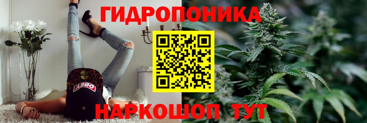 Канабис тримм  Вход с VPN  Бошки Шишки сатива  Канабис гибрид  Кинель  Конопля тримм 